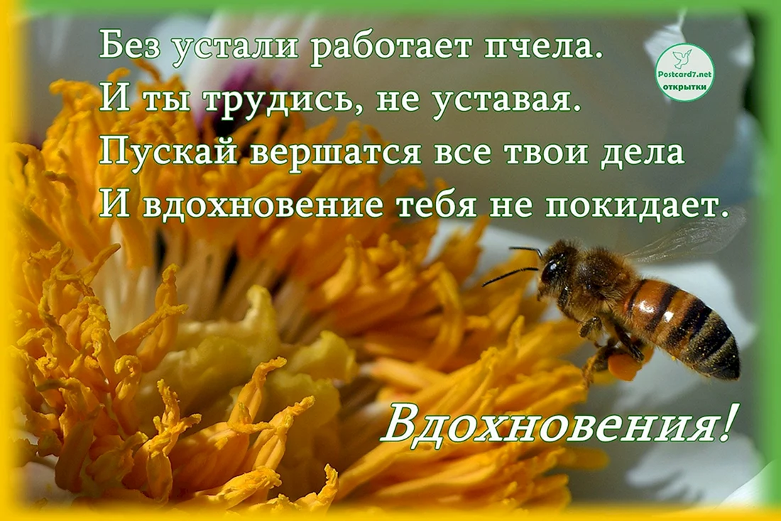 Поздравление с днем пчел