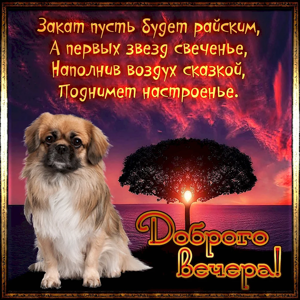 Поздравление с добрым вечером