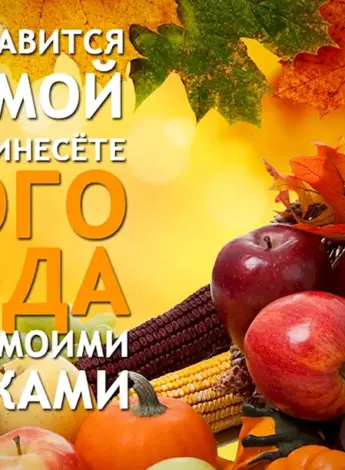 Поздравление с праздником жатвы