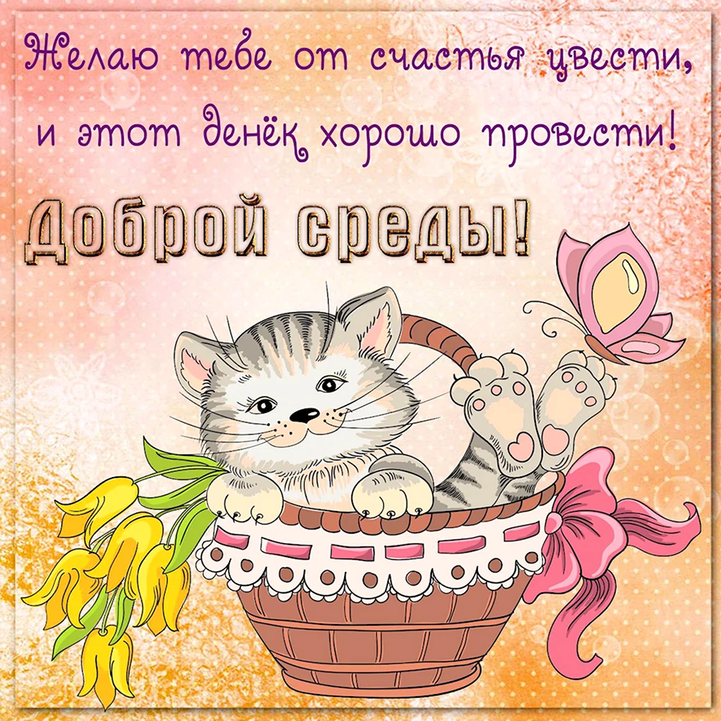 Поздравление со средой