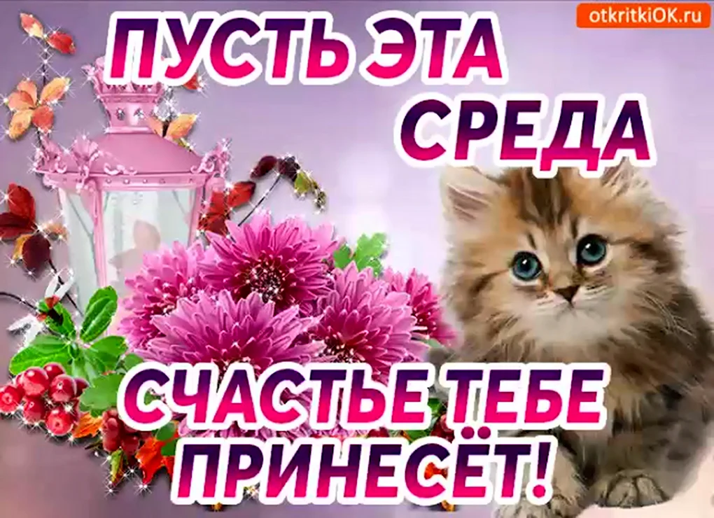 Поздравление со средой