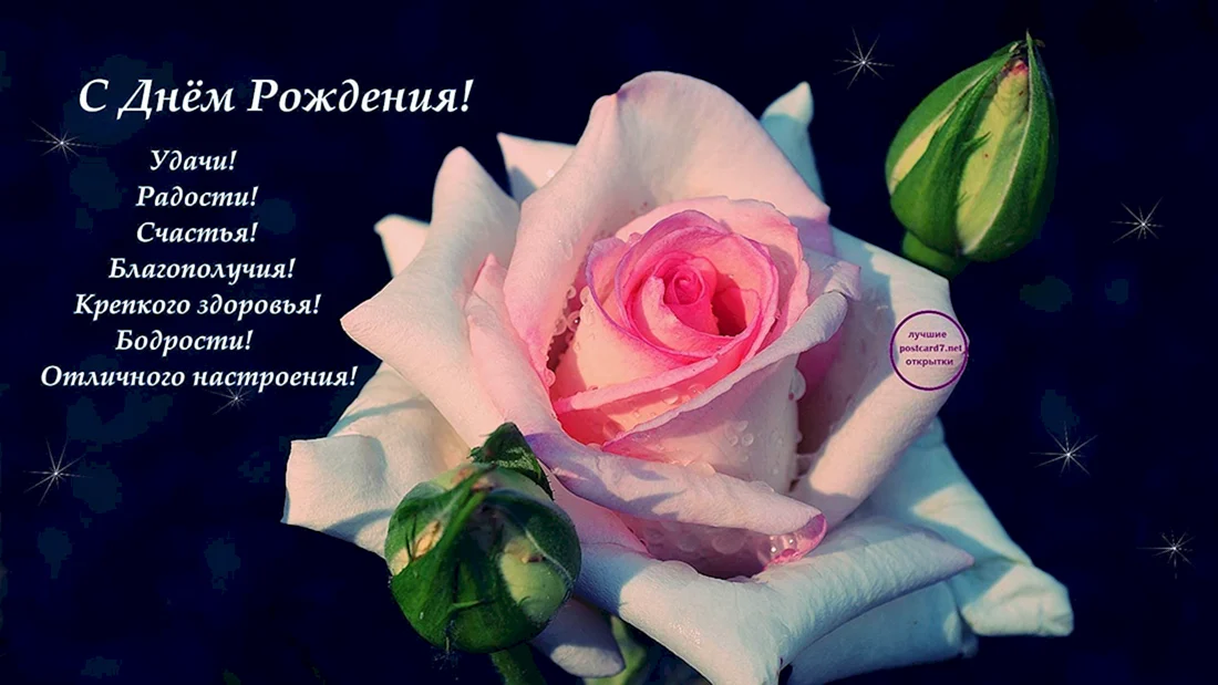 Поздравления