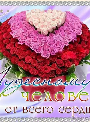 Поздравления от всего сердца