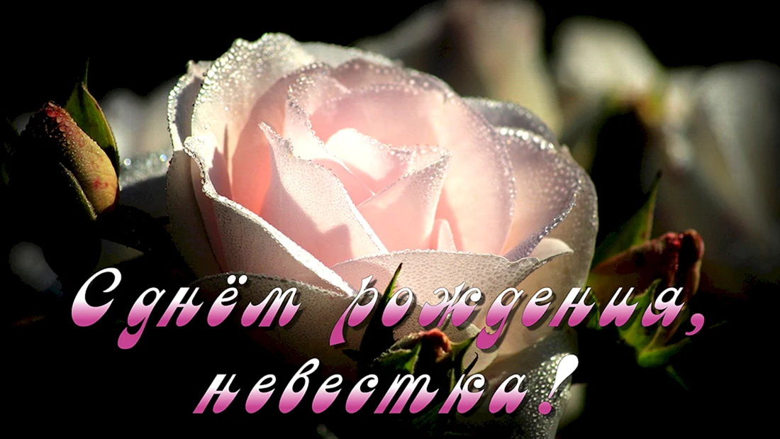 Поздравления с днём рождения невестке
