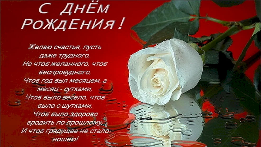 Поздравления с днём рождения открытки