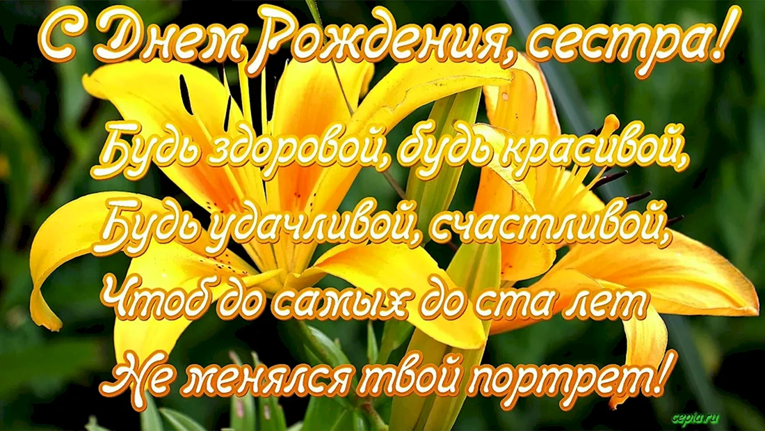 Поздравления с днём рождения сетсре