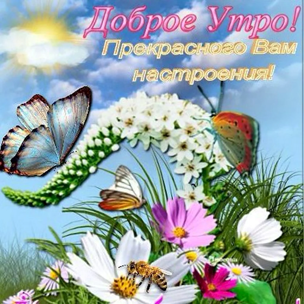Поздравления с днём среды
