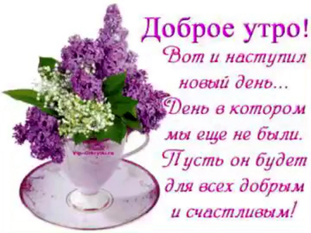 Поздравления с добрым утром и хорошим днем