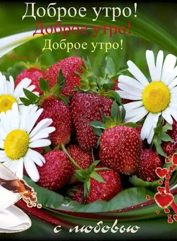Пожелания с добрым летним утром