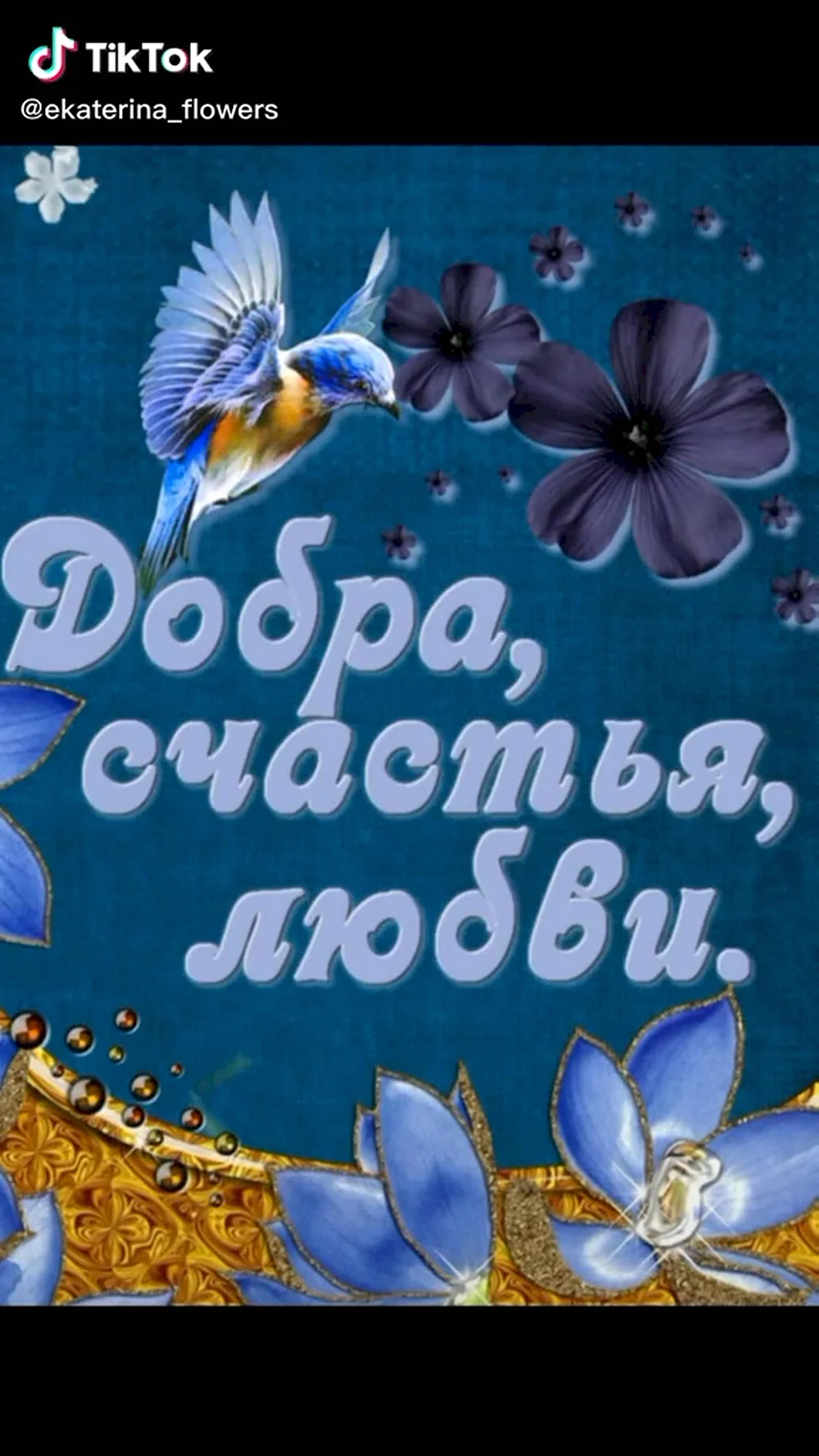 Пожелания счастья