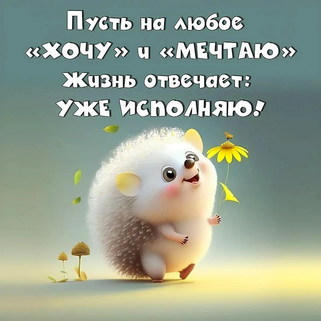 Позитивные пожелания на каждый день