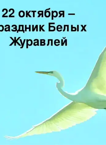 Праздник белых журавлей