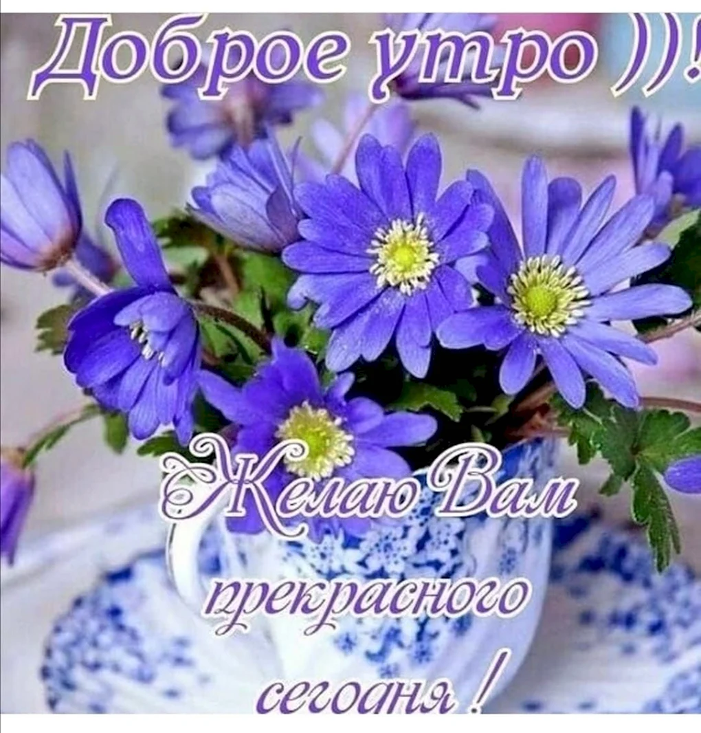Прекрасного утра и настроения
