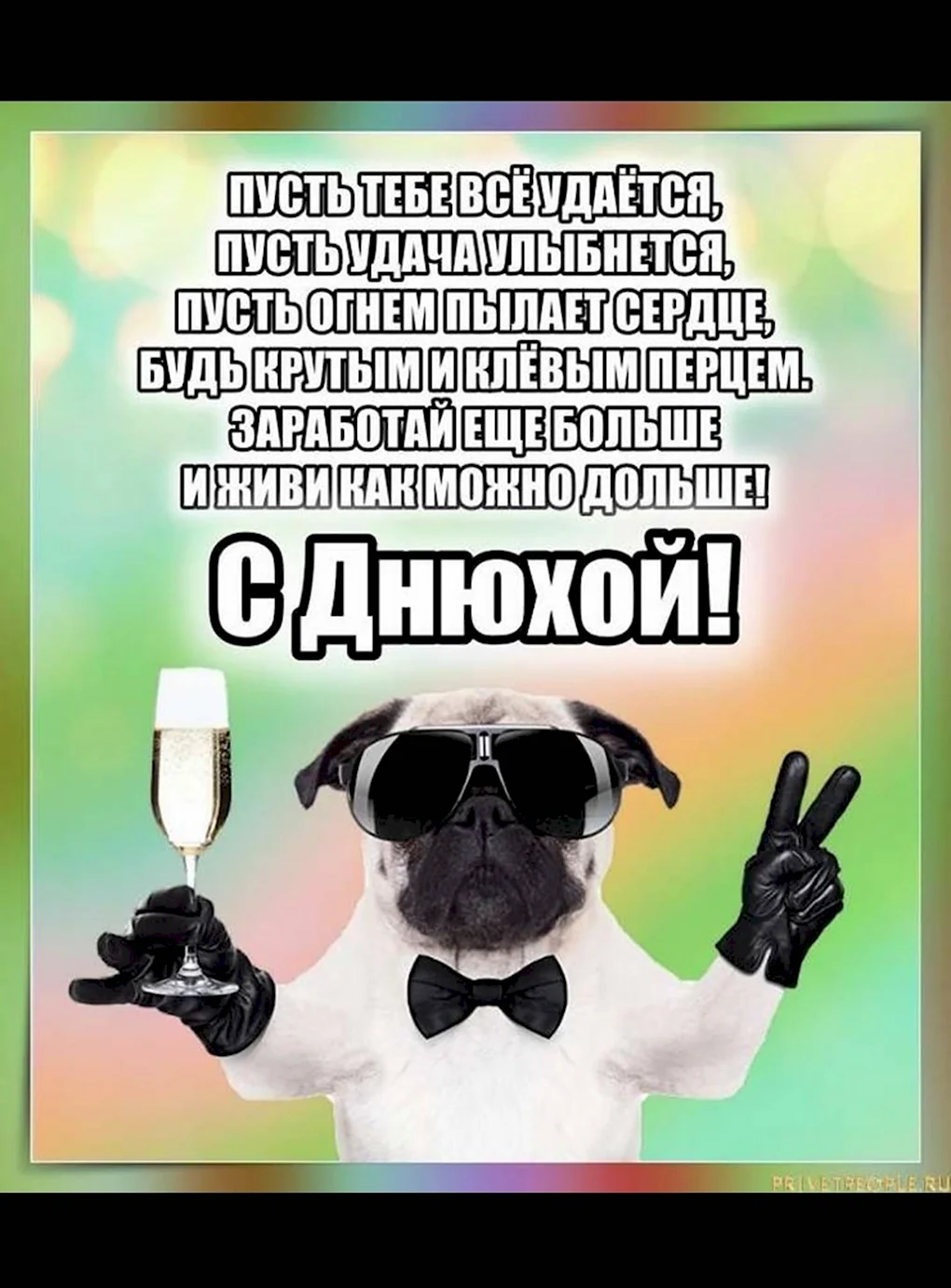 Прикольное поздравление мужчине