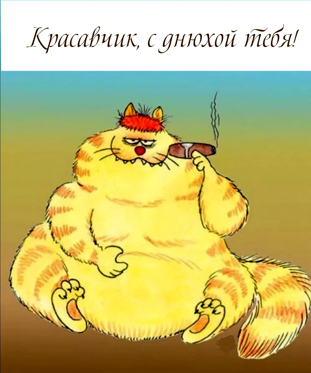 Прикольные открытки с днем рождения