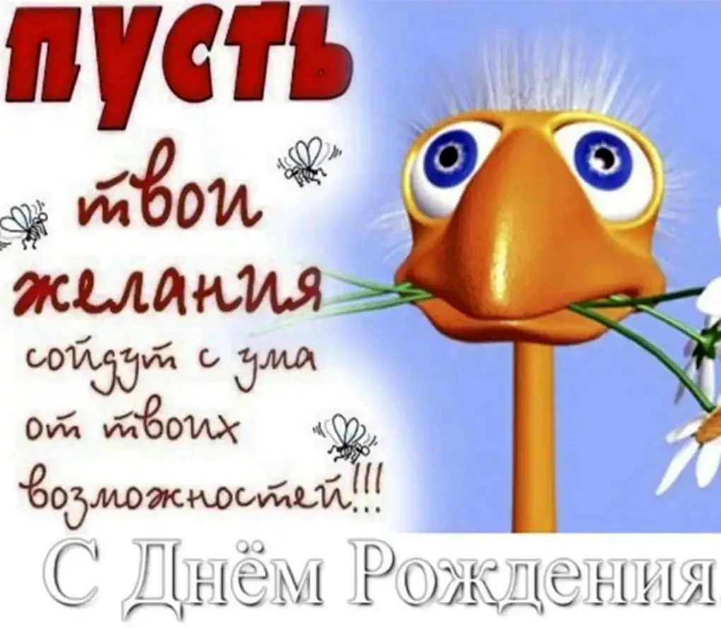 Прикольные поздравления с днем рождения