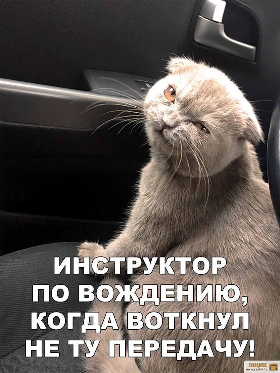 Приколы про вождение