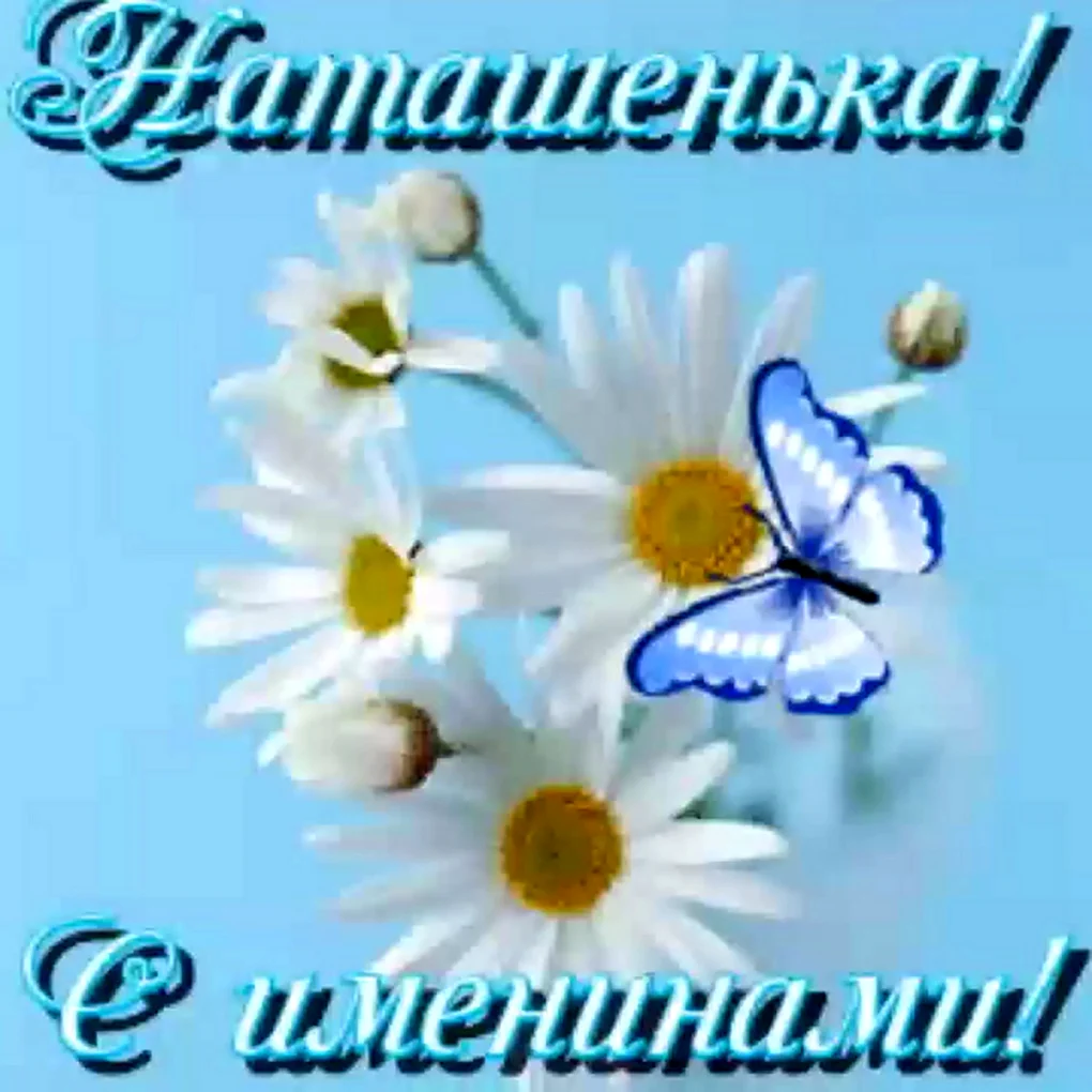 Ромашки для Наташки