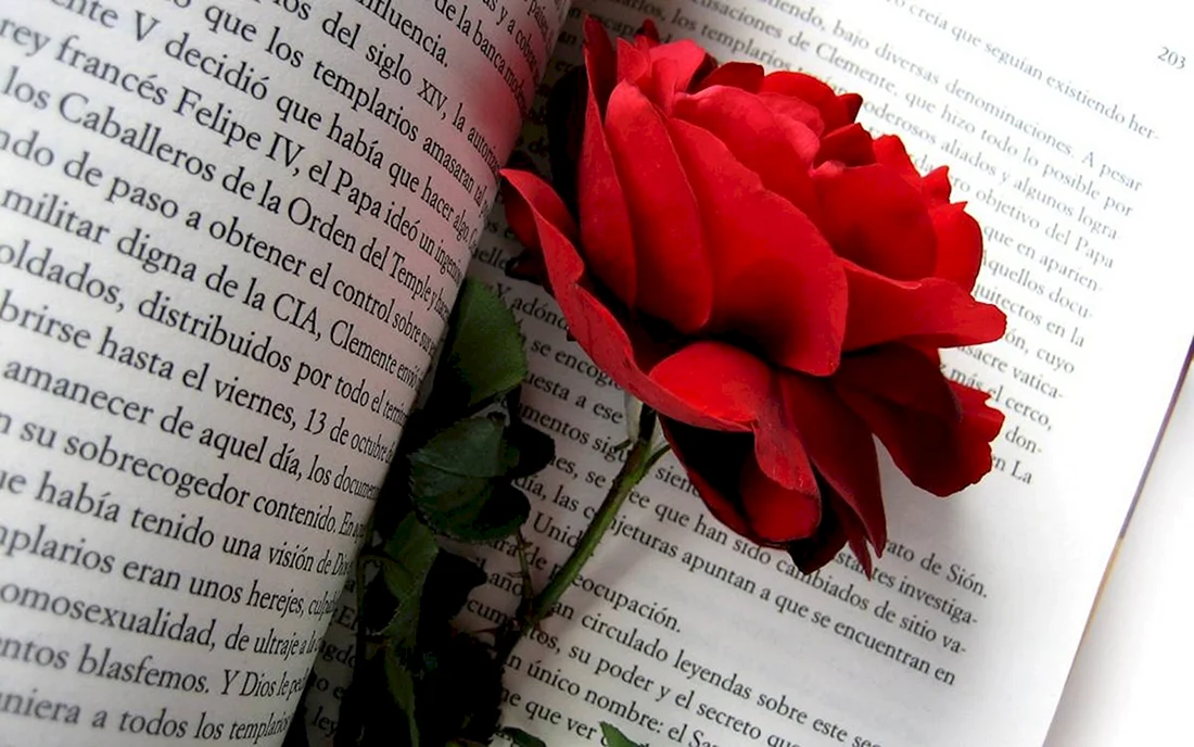 Роза на книге