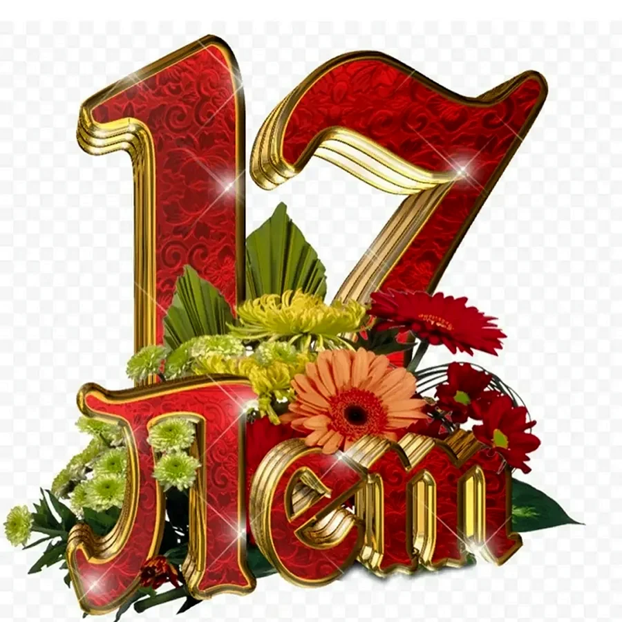 С 17 летием