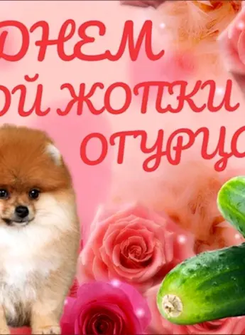 С днем горькой жопки огурца