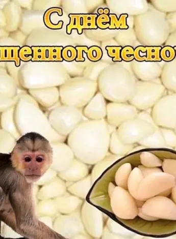 С днем очищенного чеснока