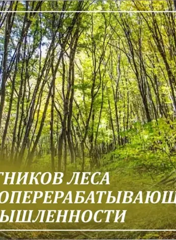 С днем работника леса