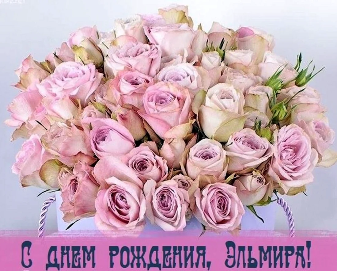 С днем рождения