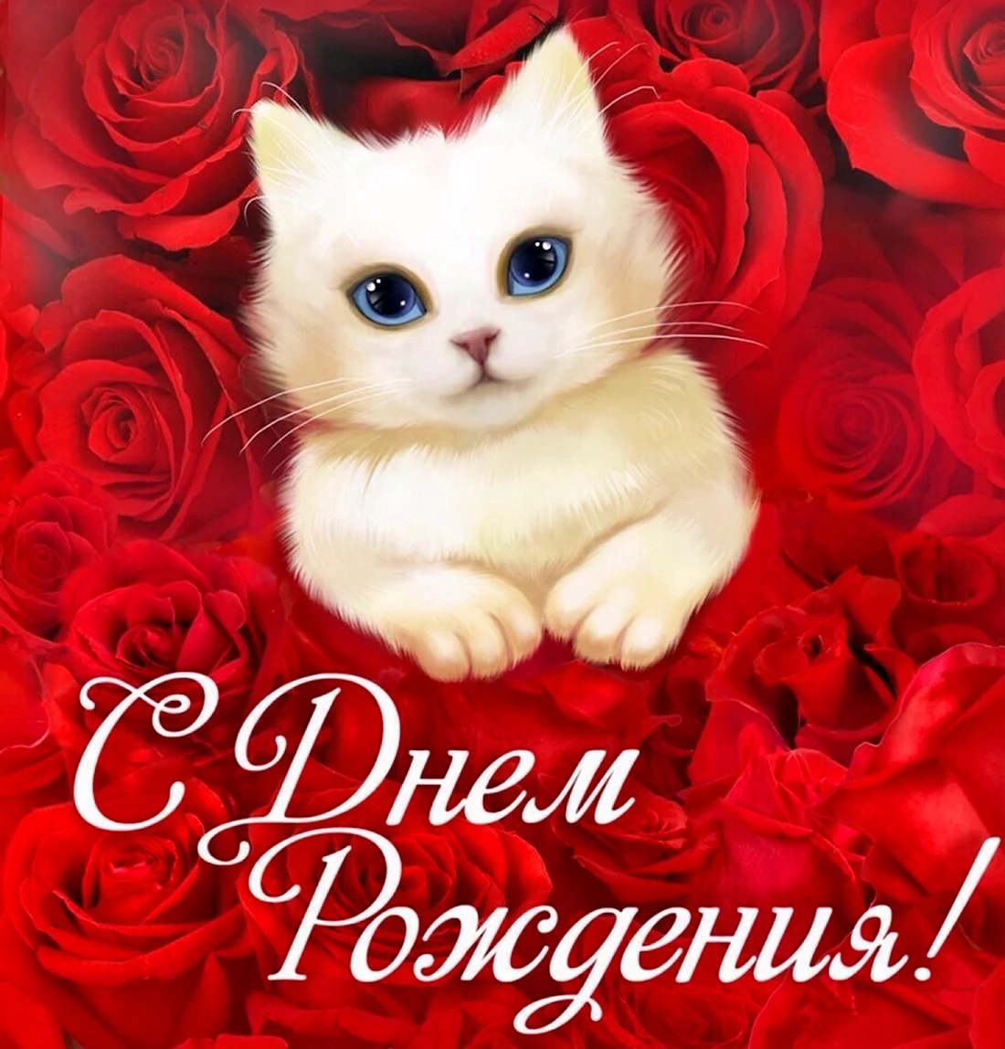 С днем рождения