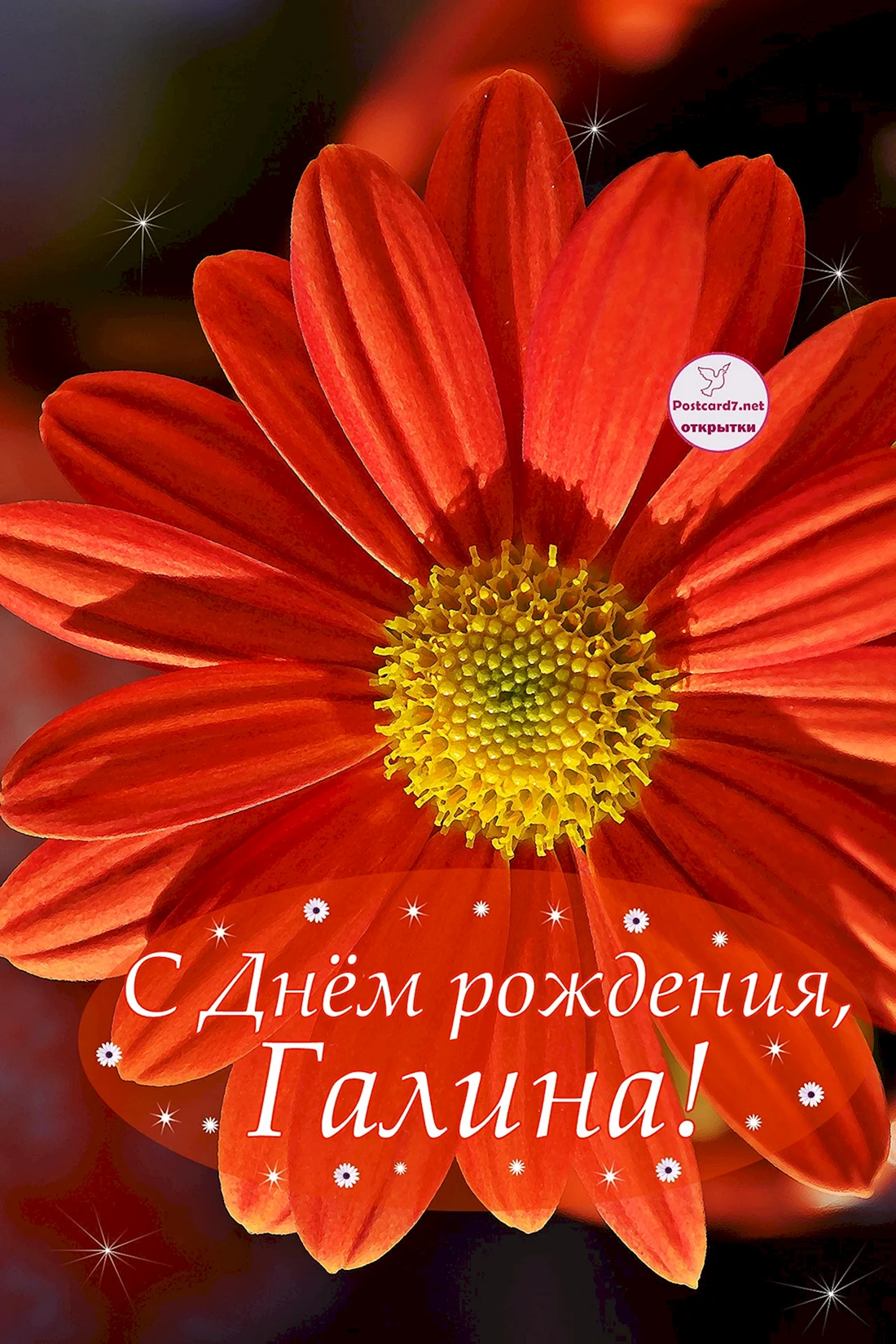 С днем рождения