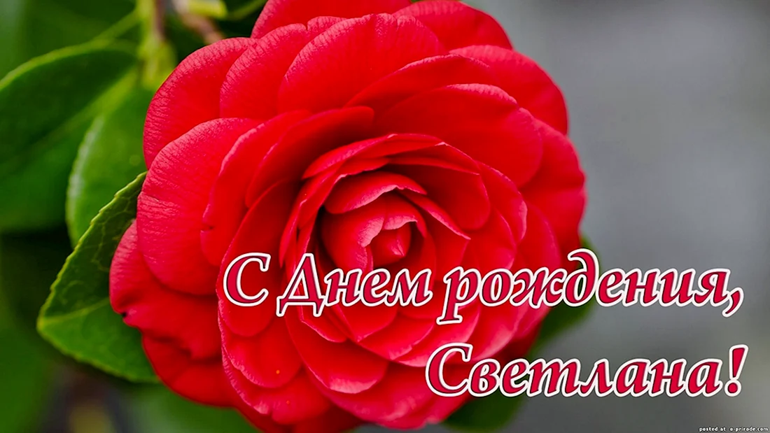 С днем рождения