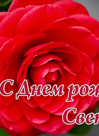 С днем рождения
