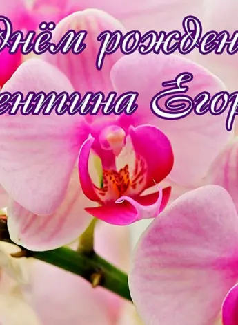 С днем рождения