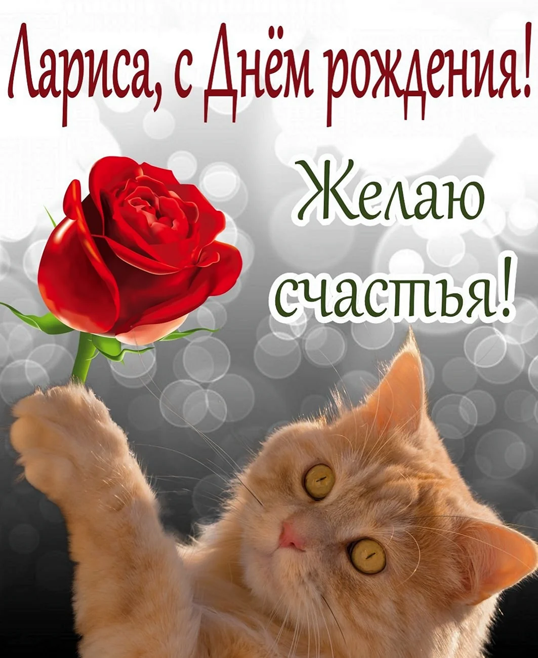 С днем рождения