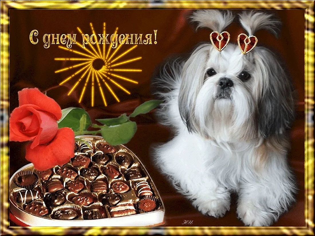 С днем рождения