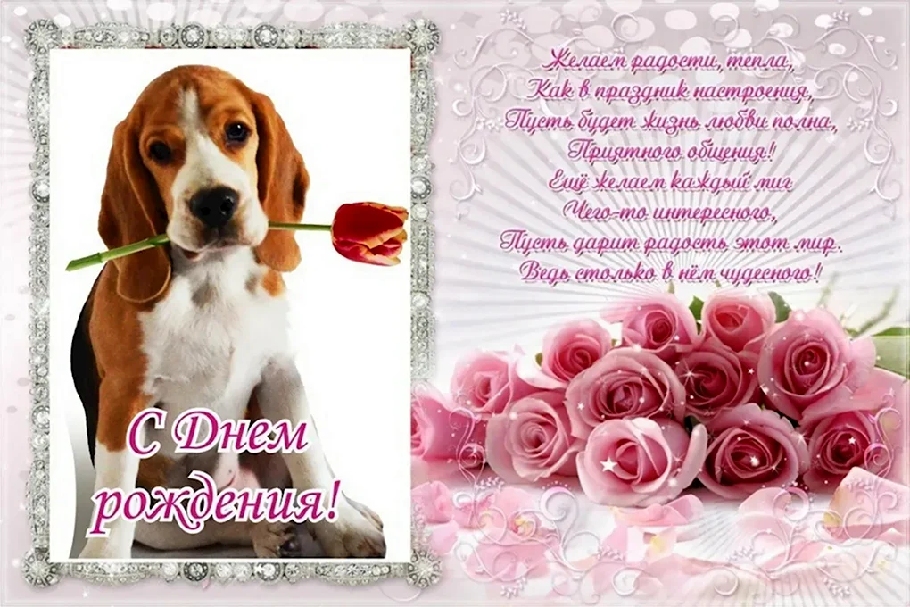 С днем рождения