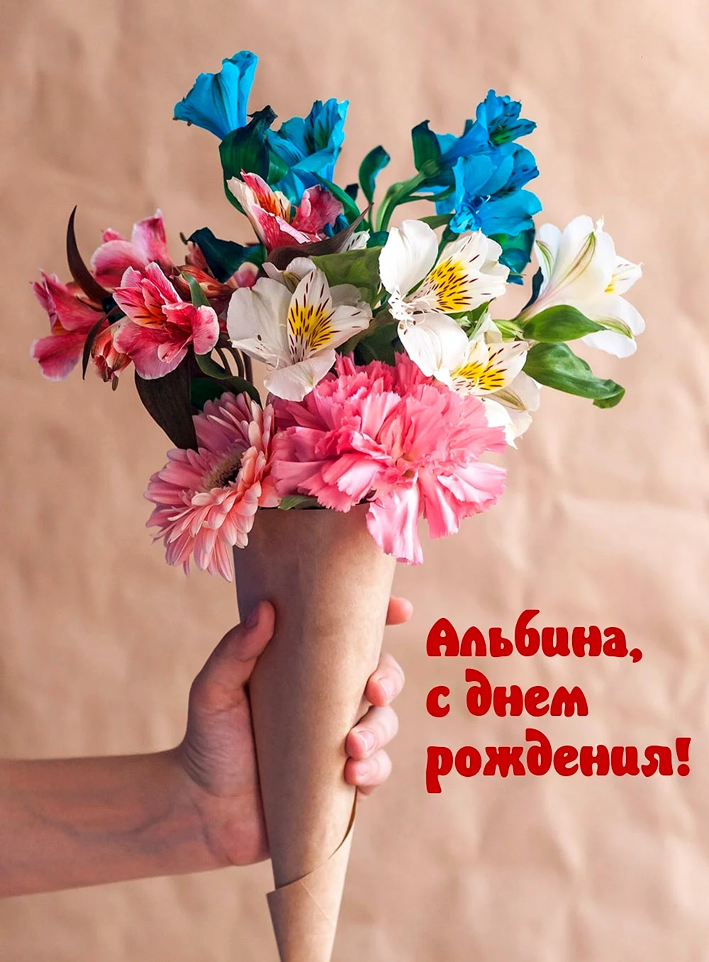 С днём рождения Альбина