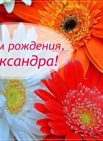 С днём рождения Алеесандра
