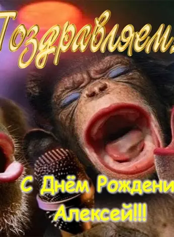 С днём рождения Алеесей