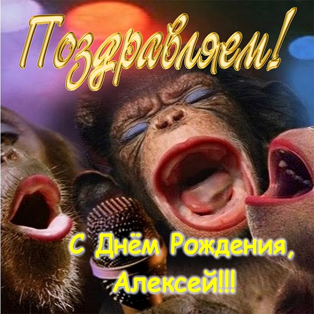 С днём рождения Алеесей