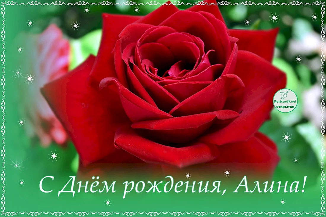 С днём рождения Алина