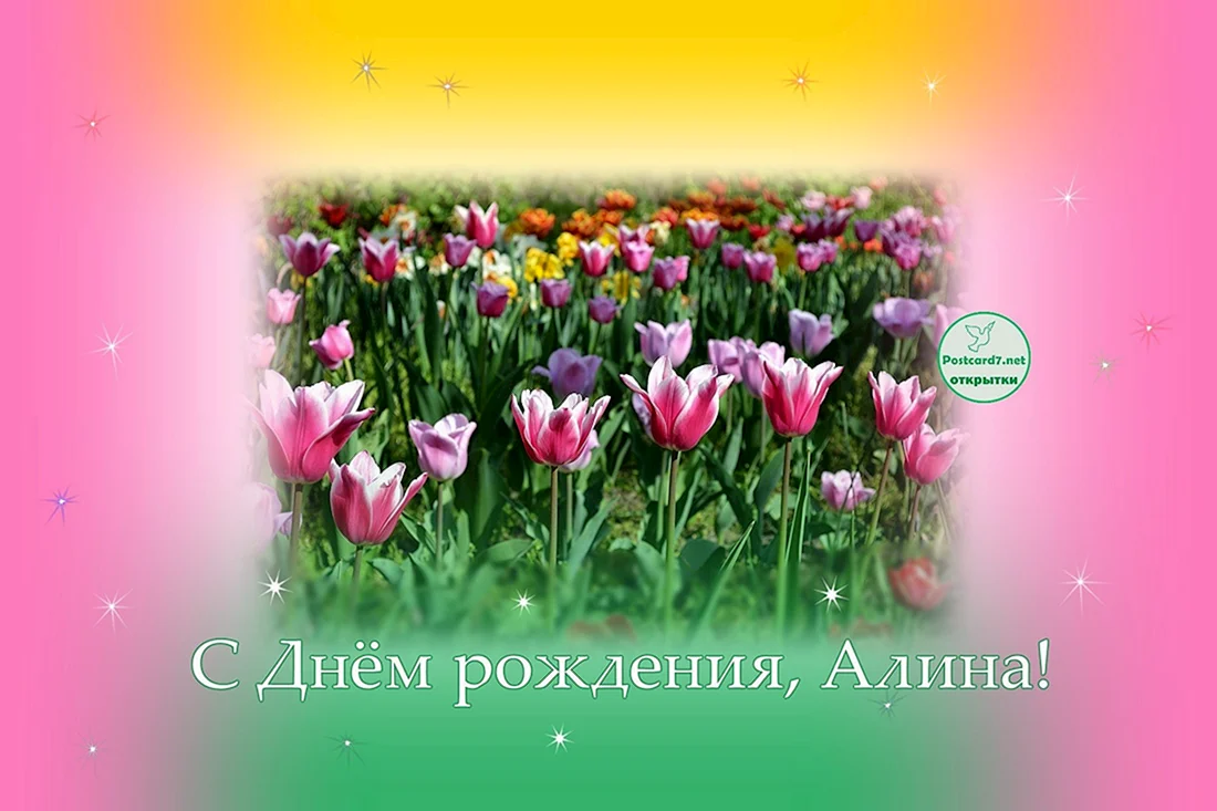 С днём рождения Алина