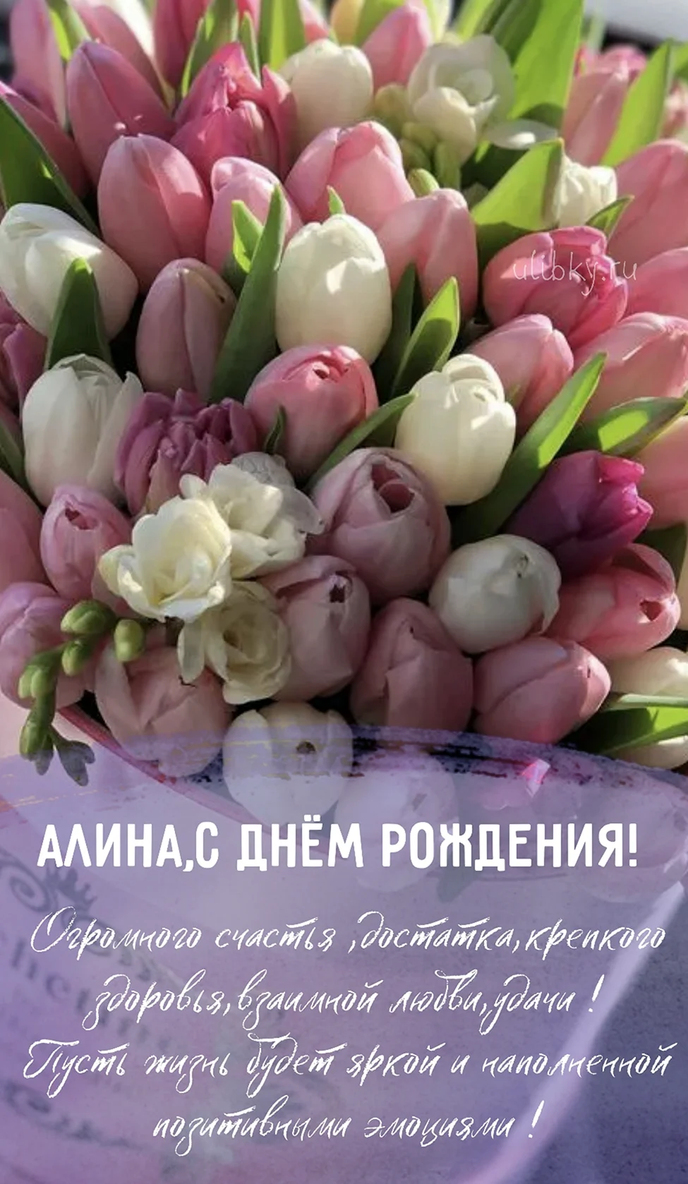 С днём рождения Алина