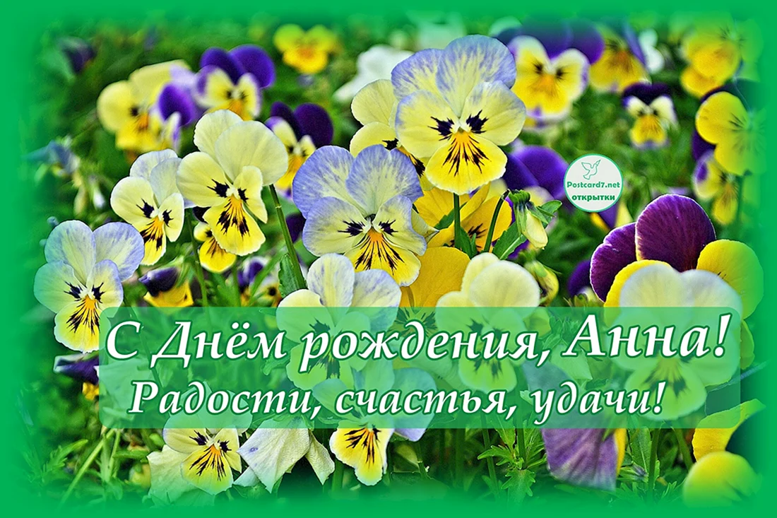 С днём рождения Анюта