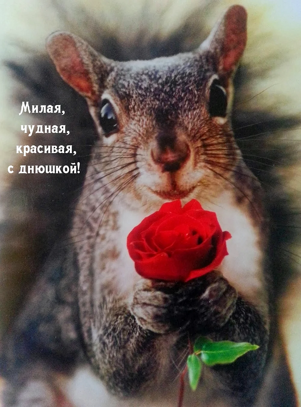 С днем рождения Белочка