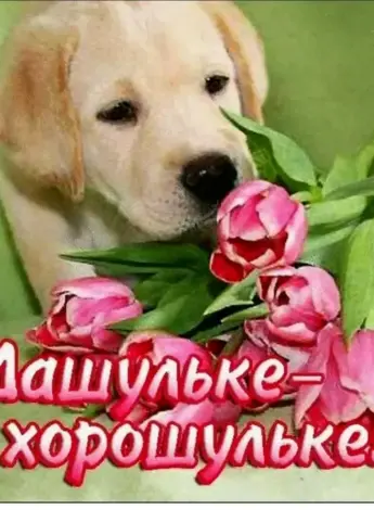 С днём рождения Даша
