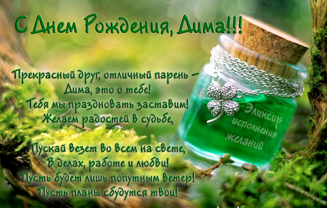 С днём рождения Дима