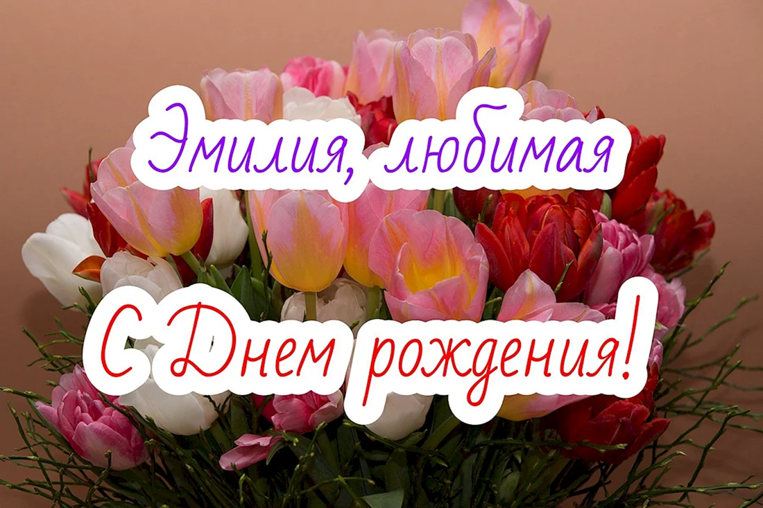 С днём рождения Эльвира