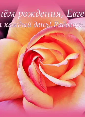 С днём рождения Евгения