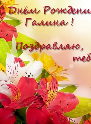 С днём рождения Галина